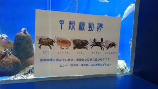 �A�[�[�[�[