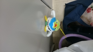 �g���s�[��y�̏ォ��ڐ�