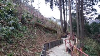 �L�����[�P�[�X�������Ȃ�