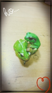 �����킹�̖������