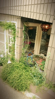 �o���R�ɂ�