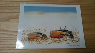 ��イ���イ�����܂˂�