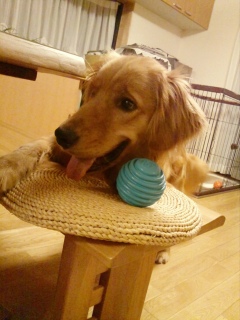 �|�P����GO