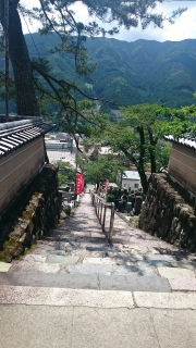 �R�̓V�C�͂����ς��