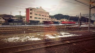 �L���w����