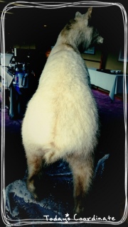 �p�x��ς��Ă݂�