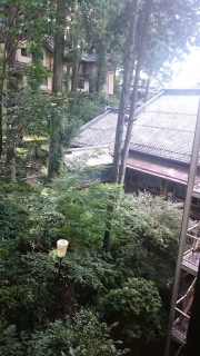 ���H���I���ĂԂ�Ԃ�