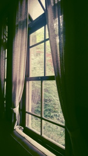 �r�����[�h��