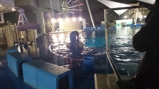 �V���`�Ƃ��Z����2