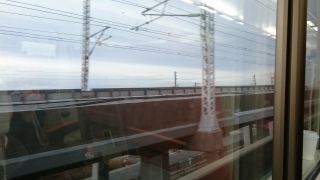 �I�c�J���E�T��