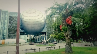 �X�̒��̂̂�т�X�|�b�g