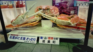 �����K�j