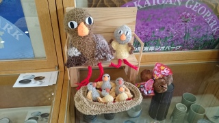 �������ƐF�X��