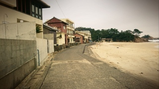 ���̓�����������