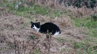 �˂�������