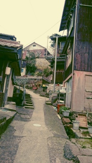 �͂�܂��̐��n��T����3