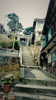 �͂�܂��̋���Ƃ���